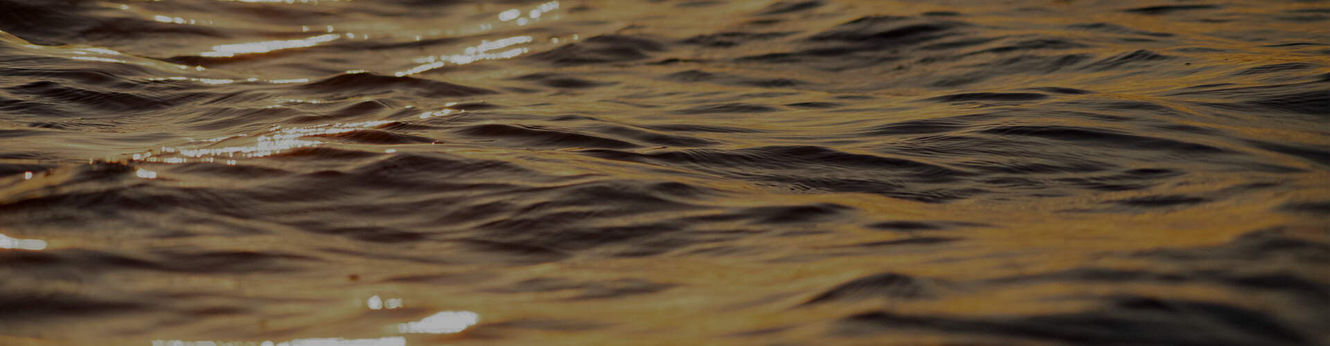 Ofertas Black Friday até 50% de desconto