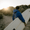 Foto trasera de una persona caminando por un sendero de playa al atardecer, llevando una tabla de surf y el albornoz de ZONE3.